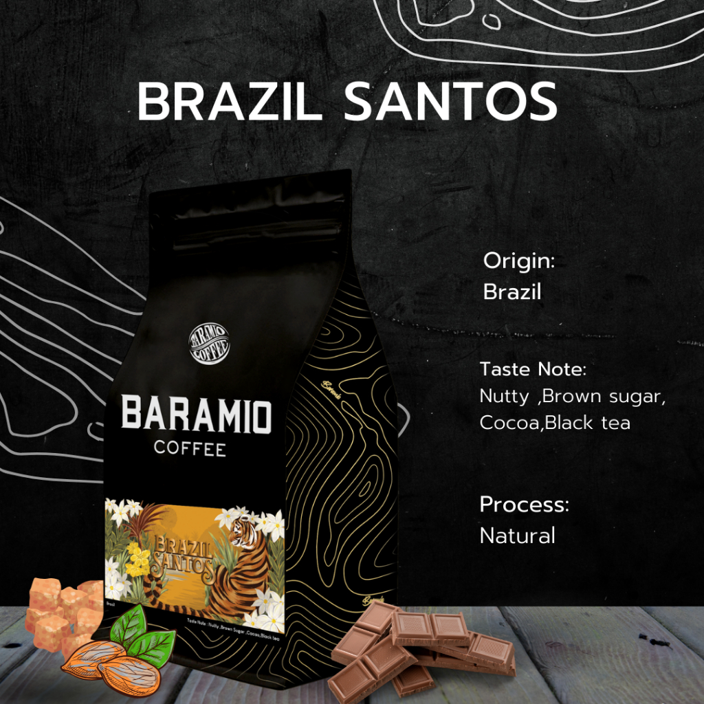 Baramio เมล็ดกาแฟคั่ว Brazil Santos Fine Cup (มีราคาส่ง)| Taste Note: Nutty, Brownsugar, Cacoa