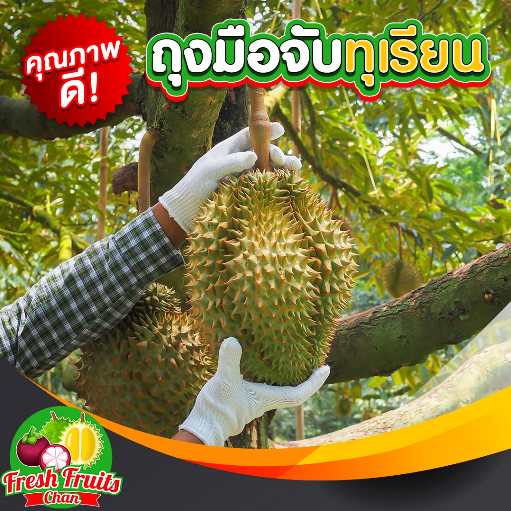 💥👍🏻ถุงมือจับทุเรียน✅คุณภาพดี 1 คู่ (ขนาดฟรีไซส์)