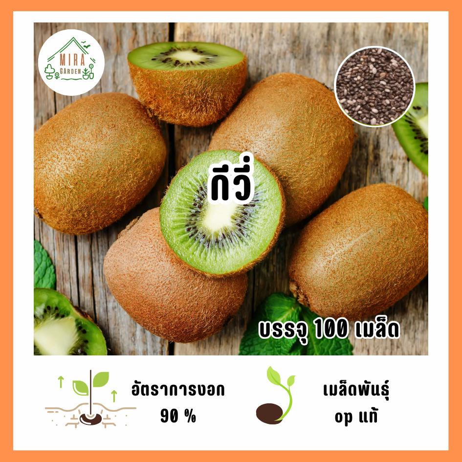 เมล็ดพันธุ์ กีวี่ (giwi) บรรจุ 100 เมล็ด