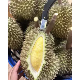 ทุเรียนภูเขาไฟศรีสะเกษ ขนาด 8 ขีด - 1.8 กิโลกรัม หวานหอมเนื้อนุ่มคัดพรีเมียมAAA