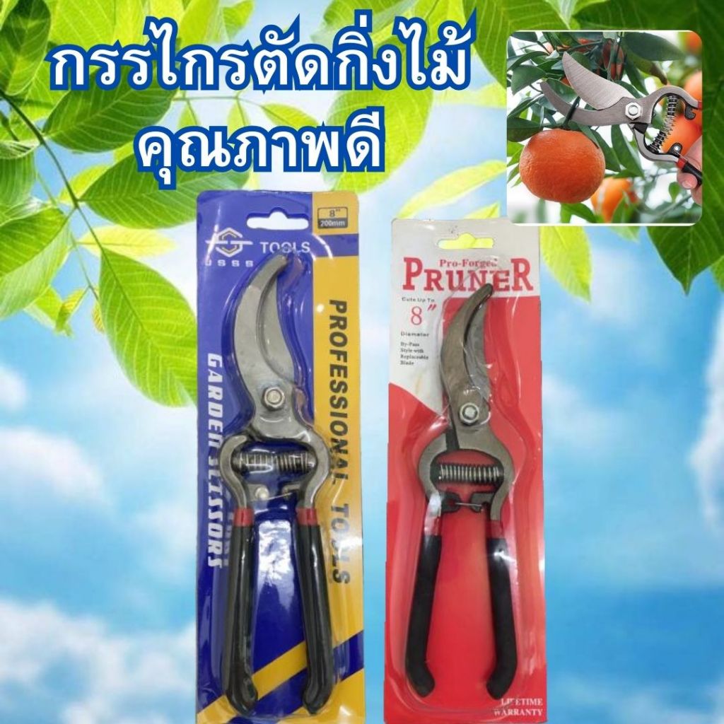 กรรไกร​ตัดกิ่งไม้​ คุณภาพ​ดี​ กรรไกรตัดแต่งกิ่งไม้ กรรไกรทำบอนไซ 8 นิ้ว