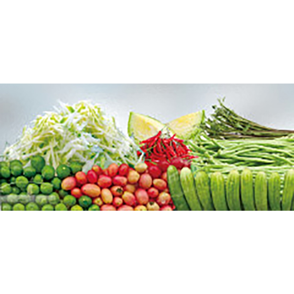สติ๊กเกอร์ติดตู้ส้มตำ เฉพาะด้านล่าง ขนาด 27 X 61 cm.ปี 2026 (UV Hight Resolution)