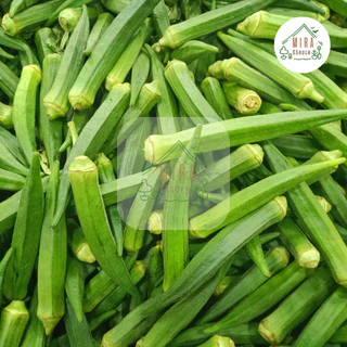เมล็ดพันธุ์กระเจี๊ยบเขียว บรรจุ 50 เมล็ด