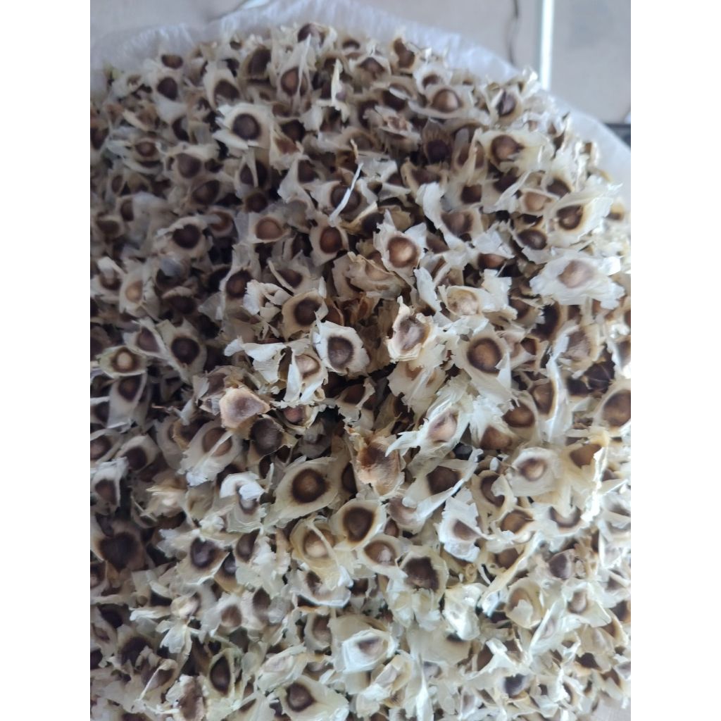 เม็ดมะรุมแก่แห้งธรรมชาติ  จำนวน 500 กรัม