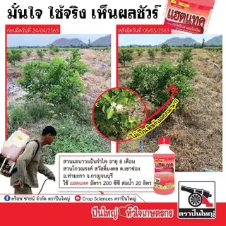 แฮตแทค ( 4 ลิตร ) ตราปืนใหญ่ สารกำจัดวัชพืชใบแคบและใบกว้าง สูตรแรงหญ้าตายยกแปลง
