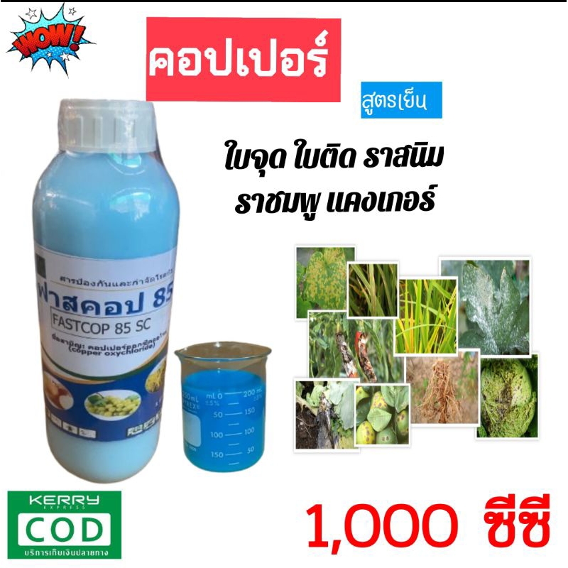 คอปเปอร์ออกซีคลอไรด์ 1 ลิตร (คอปเปอร์) โรคแคงเกอร์ มะนาว ส้ม ป้องกัน กำจัดเชื้อรา โรคพืช ใบไหม้ ใบจุด ใบด่าง ใบไหม้