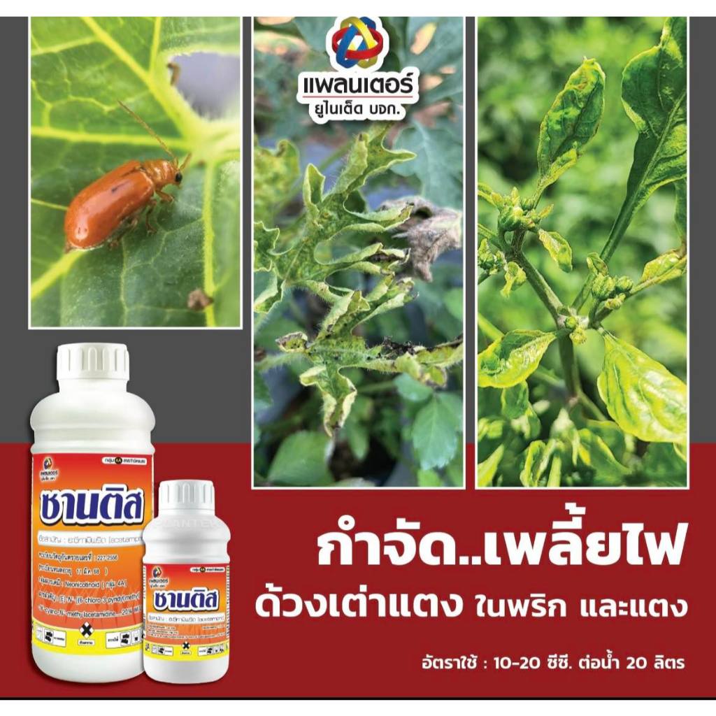 ซานติส อะซีทามิพริด ขนาด 1 ลิตร สารป้องกันกำจัด ด้วงหมัดผัก เพลี้ยไฟ หนอนชอนใบ ด้วงเต่าแตง แมลงหวี่ขาว ยาเย็น