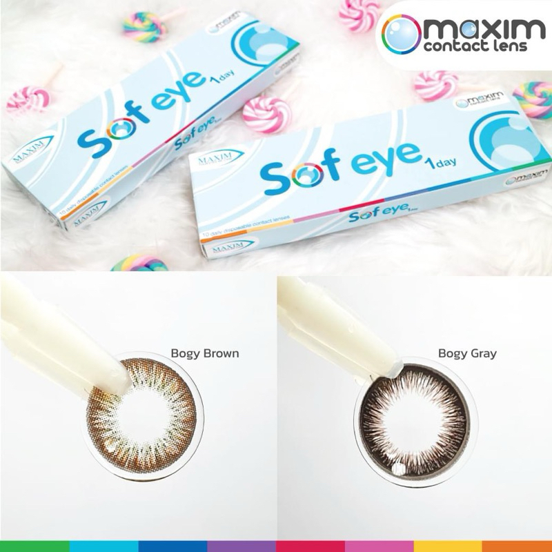 Sofeye 1 day (5คู่) สี bogy gray