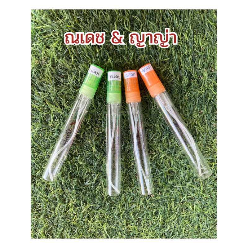 น้ำหอมกลิ่น ณเดช & ญาญ่า กลิ่นหอมชวนเป็นเซเล็บ ใครได้กลิ่นก็อยากใกล้ชิด