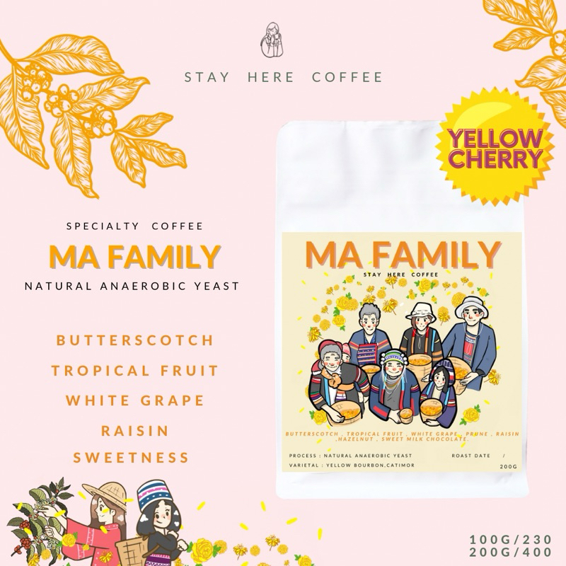 เมล็ดกาแฟคั่วอ่อนดอยปางขอน MA FAMILY (Yellow ล้วน)