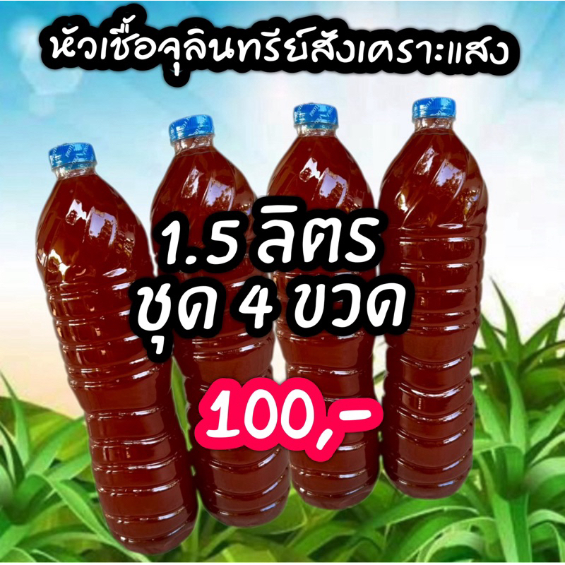 หัวเชื้อจุลินทรีย์สังเคราะห์แสง สูตรเข้มข้น ขนาด 1500 มล. (1.5 ลิตร) ชุด 4 ขวด สินค้าพร้อมส่ง