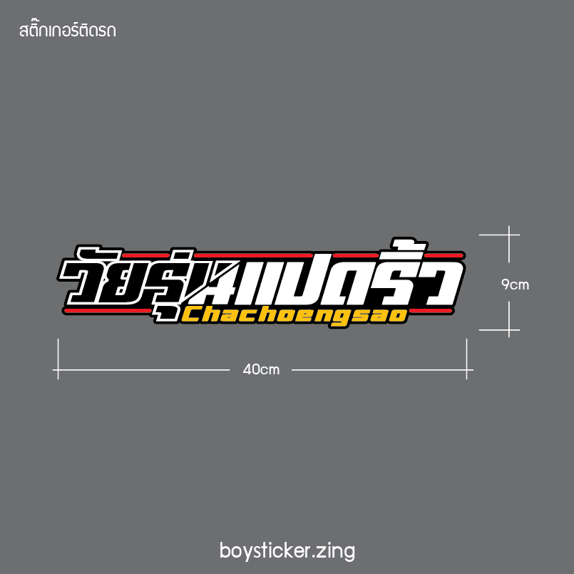 สติ๊กเกอร์ติดรถ วัยรุ่นแปดริ้ว งานตัด