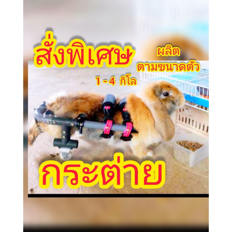2 ล้อ วิลแชล์ กระต่าย ช่วยพยุงเดิน เครื่องช่วยเดิน รถช่วยเดิน