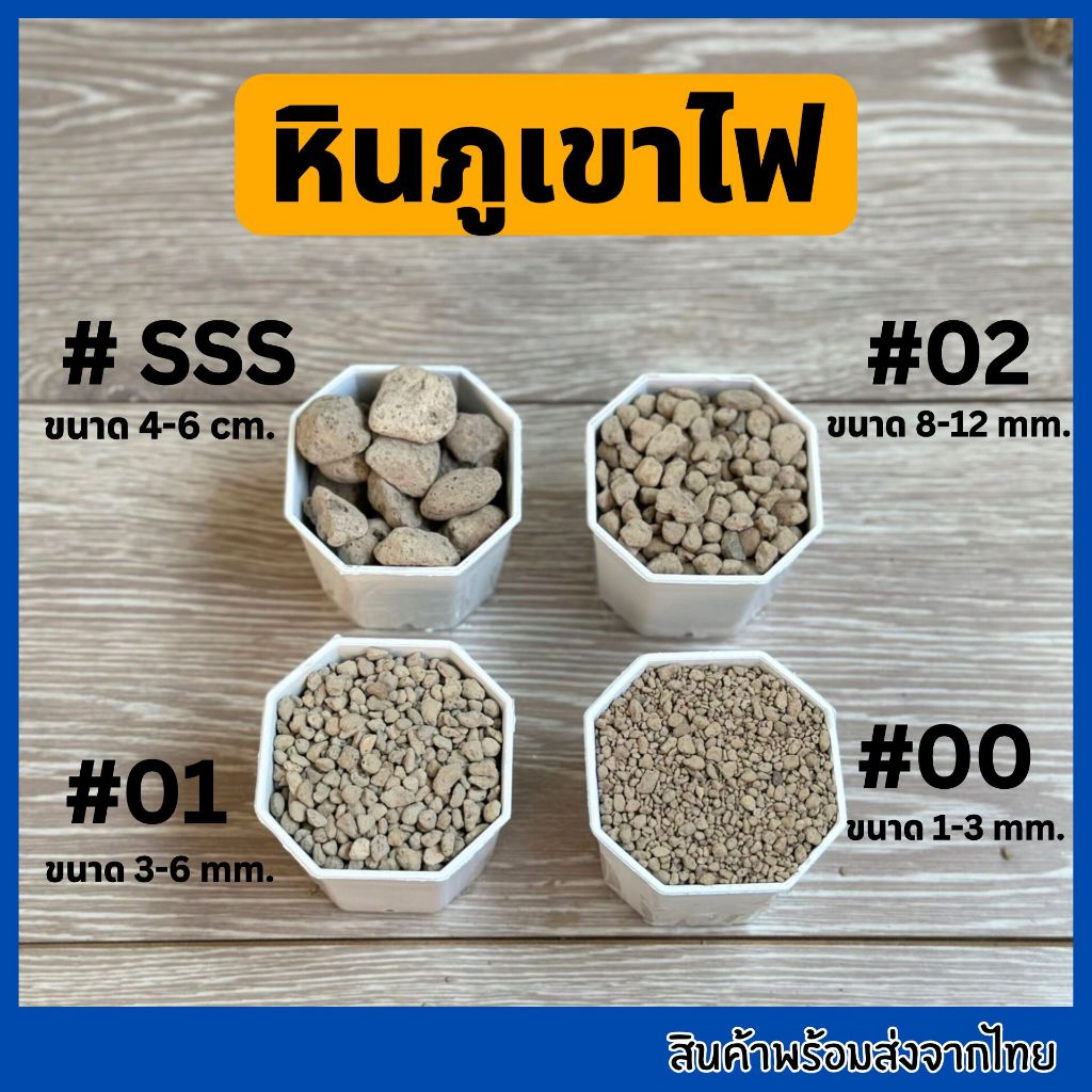 หินภูเขาไฟ หินพัมมิส วัสดุปลูก รองก้นกระถาง
