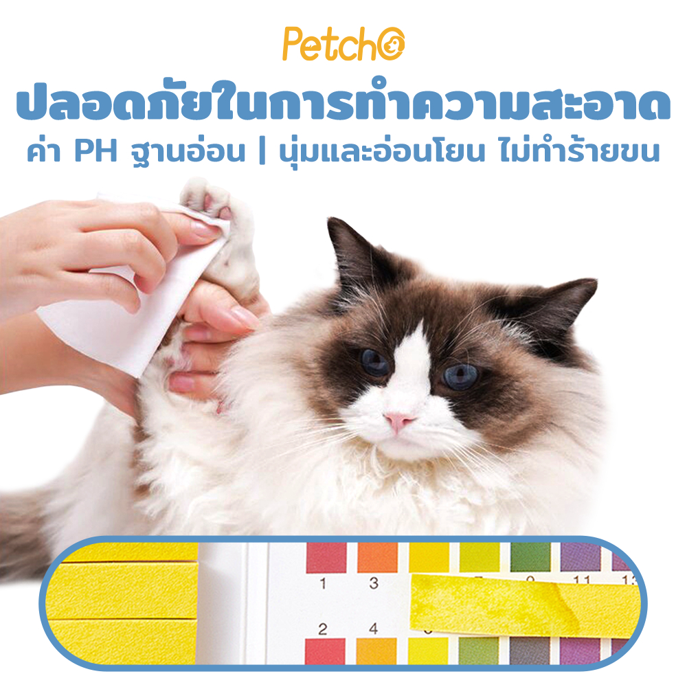 Petcho ทิชชู่เปียก ผ้าเปียกแมว ผ้าเปียกหมา ผ้าเช็ดทำความสะอาดสัตว์เลี้ยง กลิ่นหอมๆ นุ่มและอ่อนโยน ไม่มีแอลกอฮอล์ - รูปที่ 2