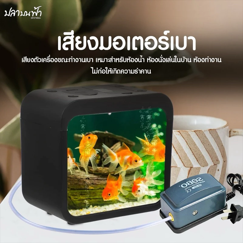 ปั๊มลมออกซิเจน SOBO รุ่น SB-222, SB-222A ออกซิเจนปลา และสัตว์น้ำทุกชนิด ออก 1 ทาง ความแรง 3 ลิตร/นาที เสียงเบาประหยัดไฟ thumbnail 3