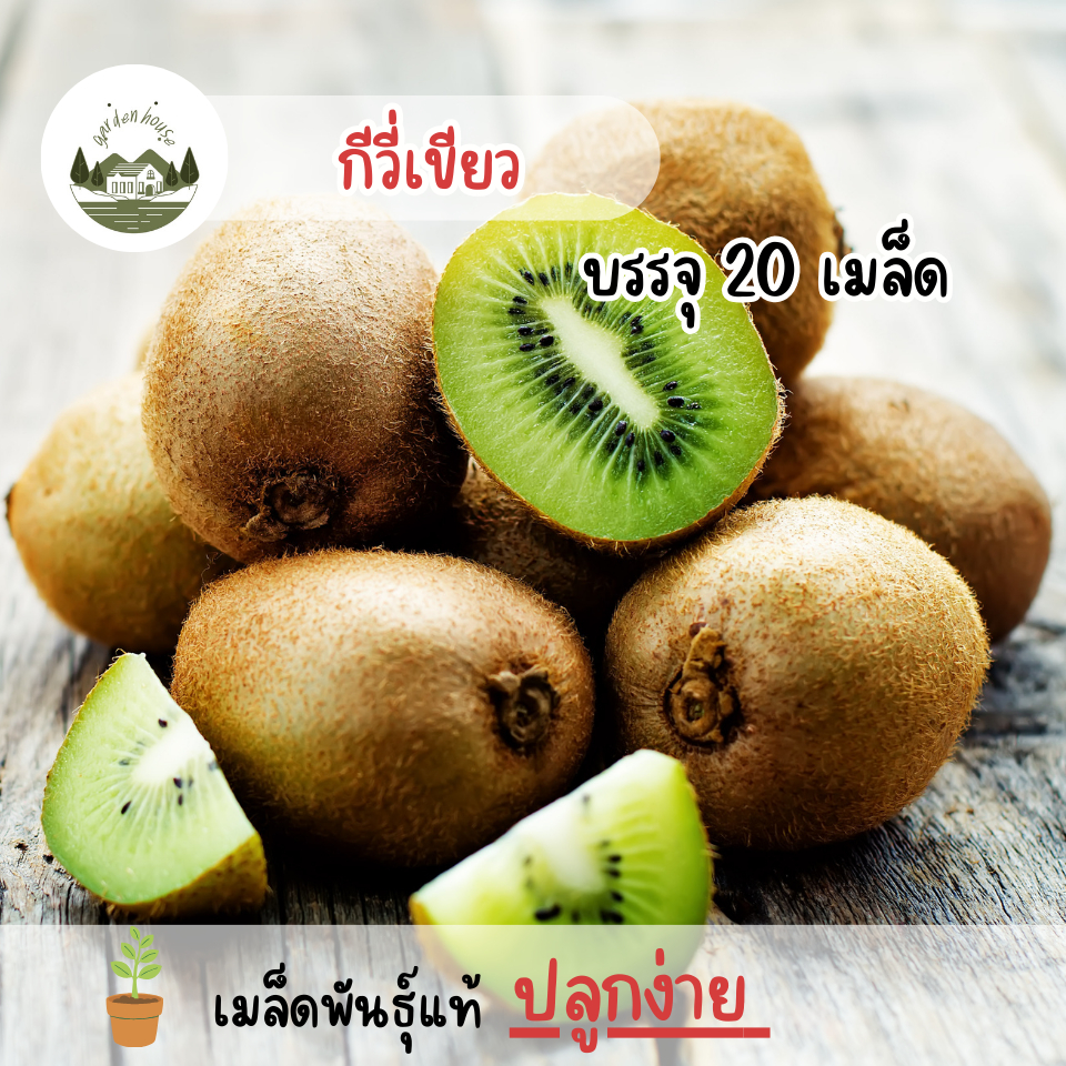 เมล็ดพันธุ์กีวี่เขียว 20 เมล็ด