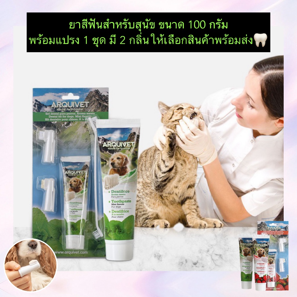 MG-1142 🦷 ยาสีฟันสำหรับสุนัข Arquifresh ขนาด 100 กรัม พร้อมชุดแปรง สีสวย ปลอดภัยต่อสัตว์เลี้ยง 🐶