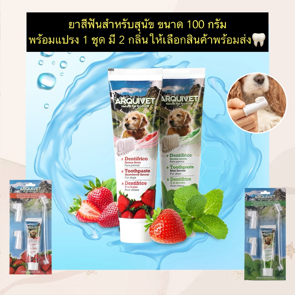 PP-1142 🦷 Arquifresh ยาสีฟันสำหรับสุนัข ขนาด 100 กรัม พร้อมชุดแปรง 🐾