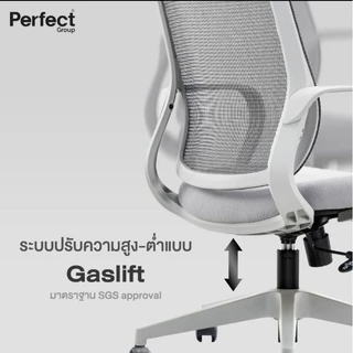 Perfect CIRCLE เก้าอี้ทำงานเพื่อสุขภาพ รุ่น 6242 ปรับระดับได้ เก้าอี้เพื่อสุขภาพ เก้าอี้คอม