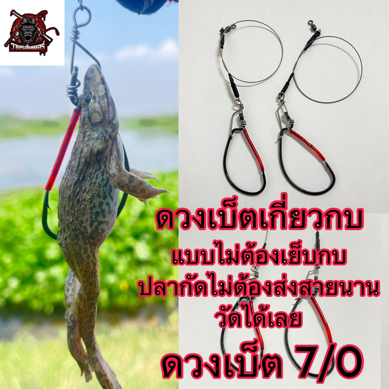 ดวงเบ็ตเกี่ยวกบตกปลาชะโด ขนาด7/0 ไม่ต้องเย็บกบให้ยุ่งยาก ปลากัดวัดได้เลย