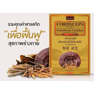 CORDYCEPS ถั่งเช่าสกัดผสมเห็ดหลินจือสกัด (1 กล่อง 30 แคปซูล)