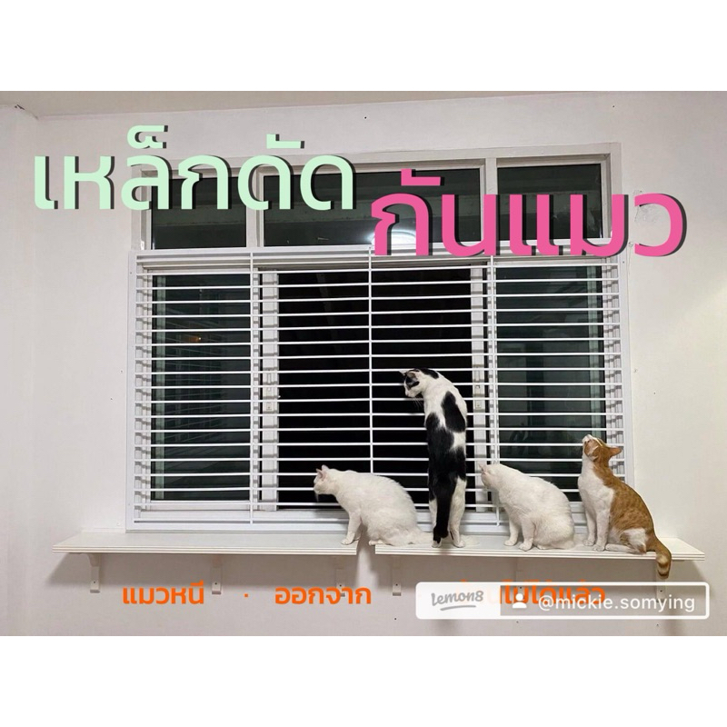 เหล็กดัดหน้าต่างบานครอบบานเลื่อน กั้นน้องแมวหนีออกจากบ้าน