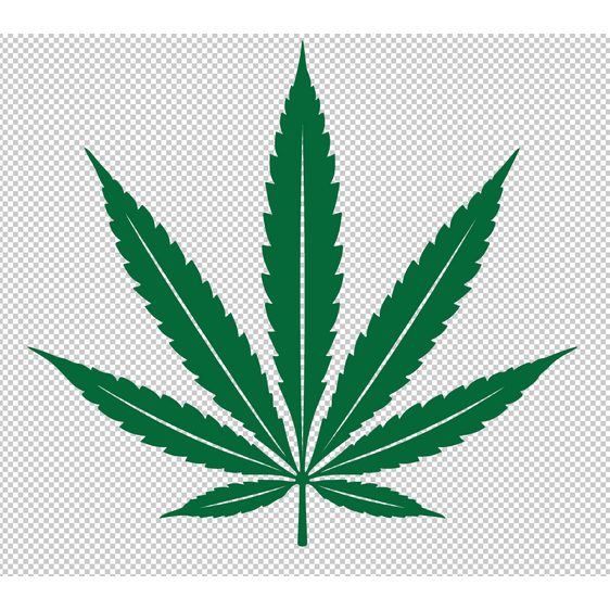สติกเกอร์ ตัด ไดคัท ภาพ ใบกัญชา cannabis leaf logo สำหรับ ติดตกแต่ง ร้าน กัญชา วัสดุเป็น PVC กันน้ำ ทนแดด