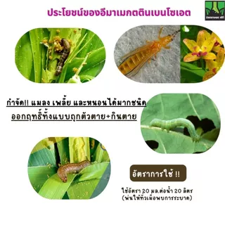 โซเวล ขนาด 1 ลิตร อีมาแมกติน อีมาน้ำ สูตรเย็น เข้มข้น กำจัด หนอนชอนใบ หนอน กระทู้ข้าวโพด เพลี้ยไฟ เพลี้ย กระโดด โซตัส