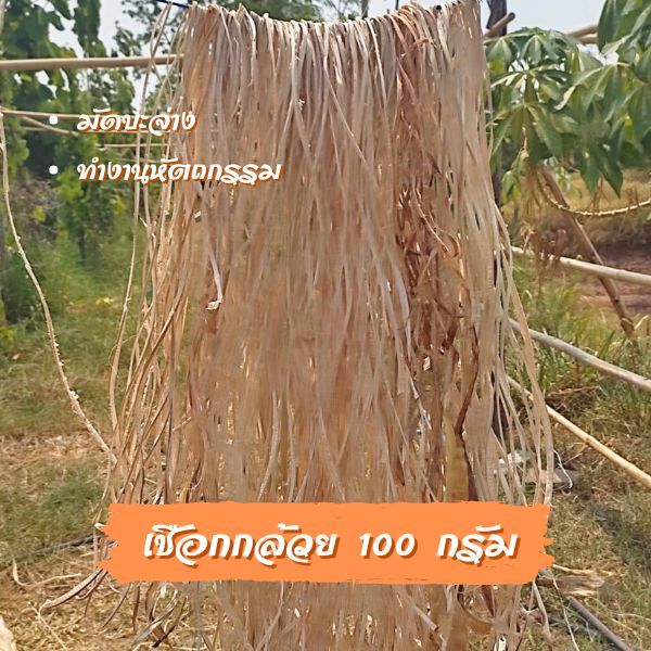 เชือกกล้วย 100 กรัม 1 มัด สำหรับมัดบะจ่าง งานฝีมือ และอื่นๆ