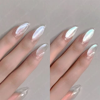 ROHWXY ผงขัดเล็บ ผงแป้งทาเล็บไอซ์ซิ่งเงา สีขาวสวย สีฟรุ้ง ( 2g)