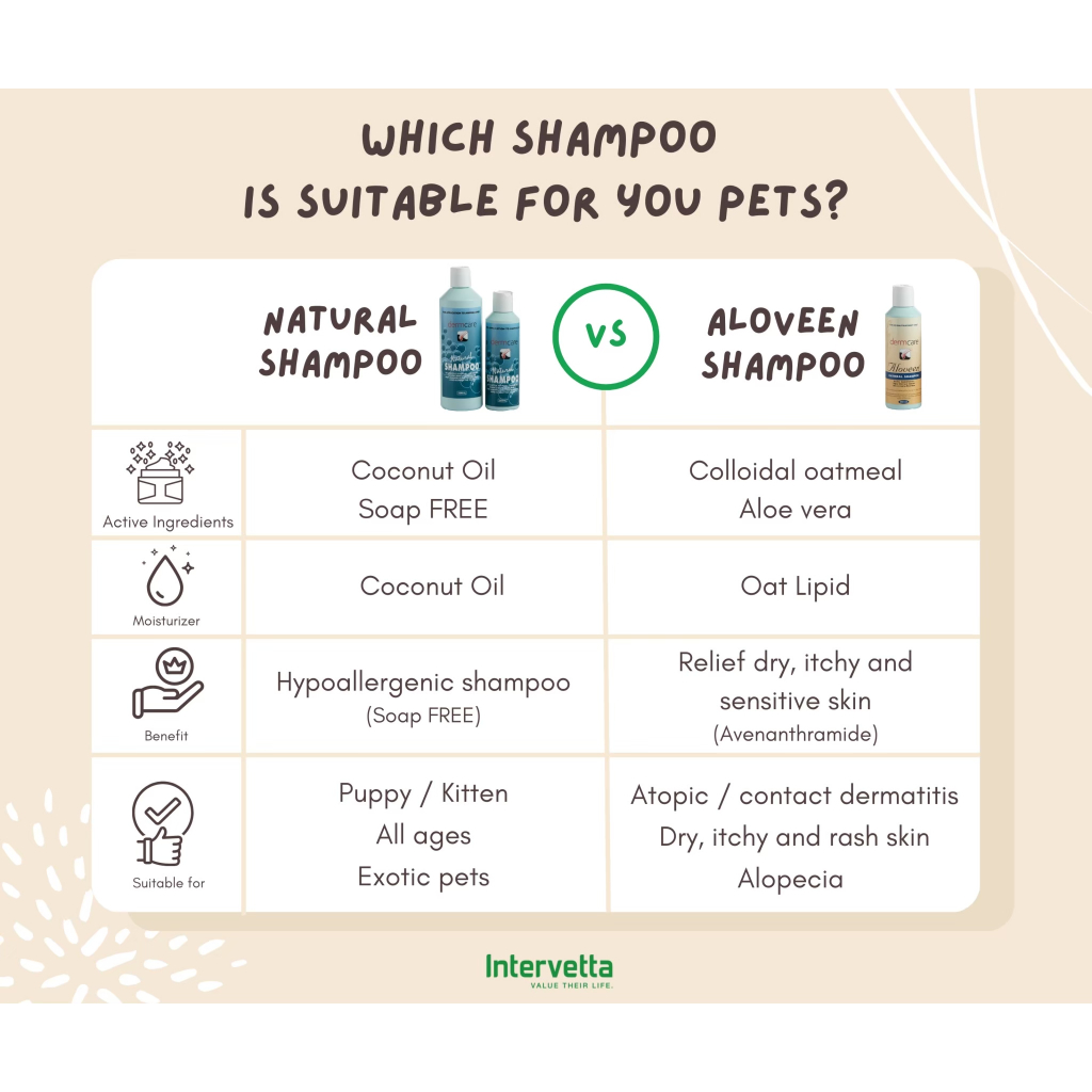 รูปภาพ 7