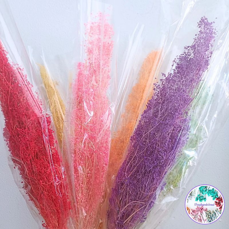 ยิปโซฟิลล่าแห้งย้อมสีดอกไม้แห้งแบบกำมีหลายสีพร้อมส่ง