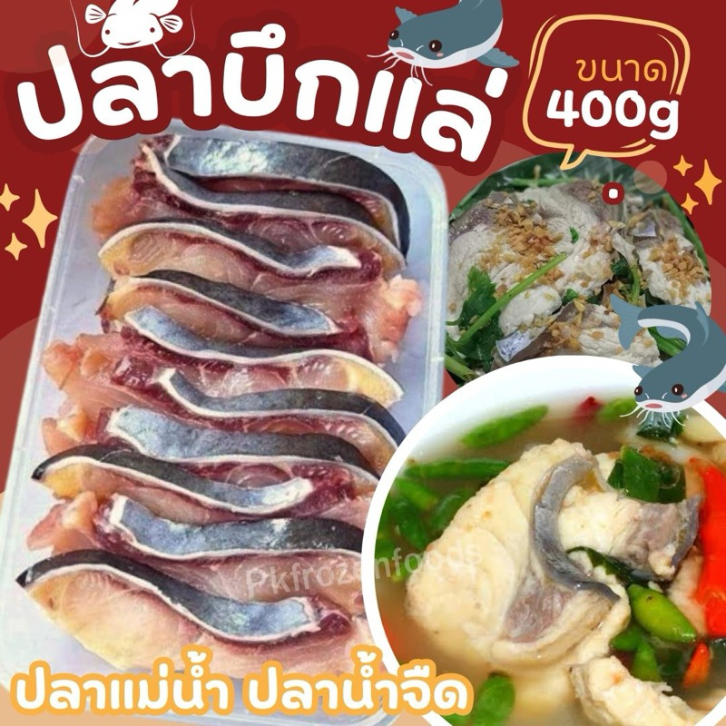 ปลาบึกแล่ ปลาน้ำจืด ปลาแม่น้ำ (380g.)🐟🐟 🔥 ค่าส่งเหมา✅คละได้ทั้งร้าน❗️โฟมฟรี💦ทุกจังหวัด 🚚💨ส่งขนส่งแช่เย็น❄️