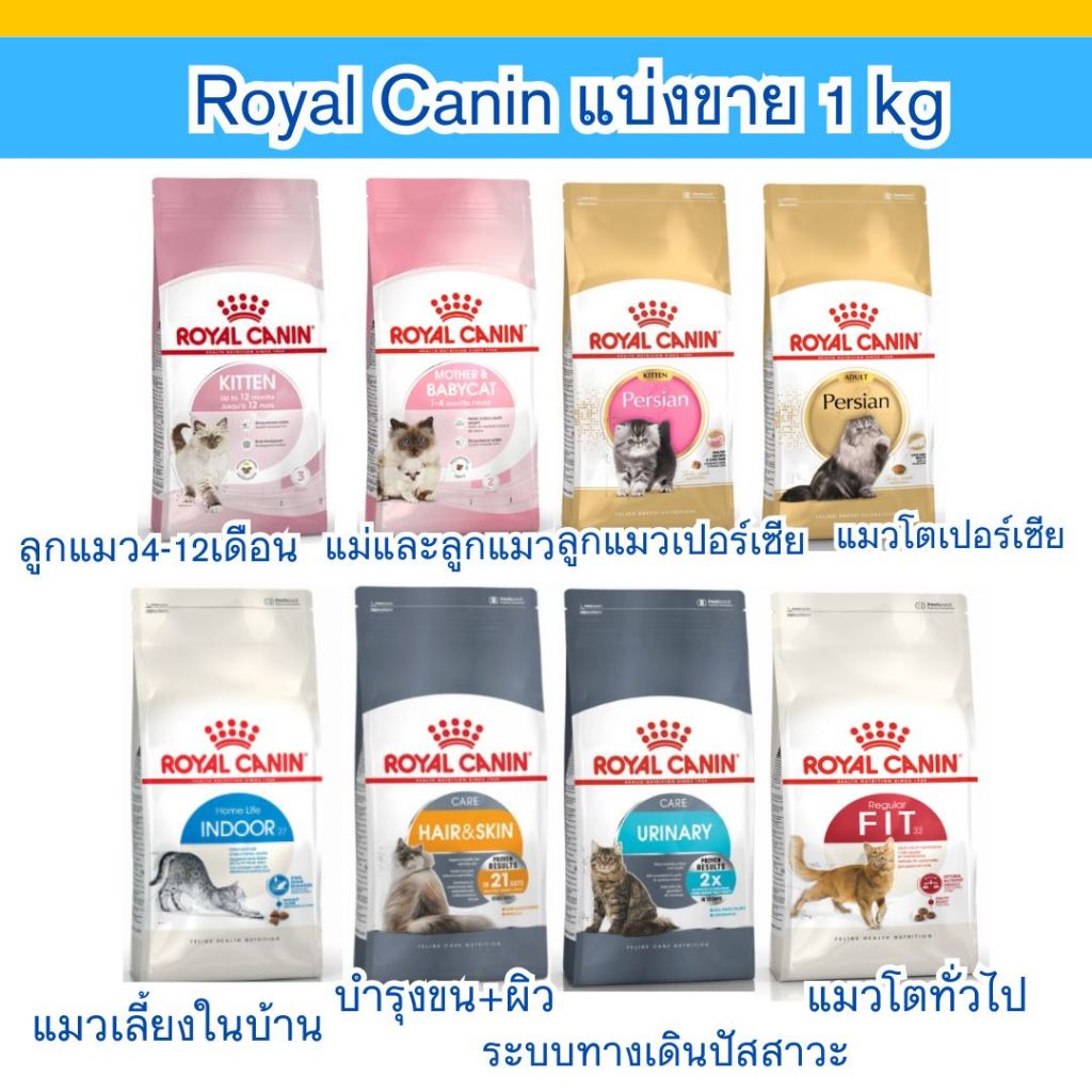 Royal Canin แบ่งขาย Kitten Persian Fit hairball repack 1 kg ! โรยัลคานิน
