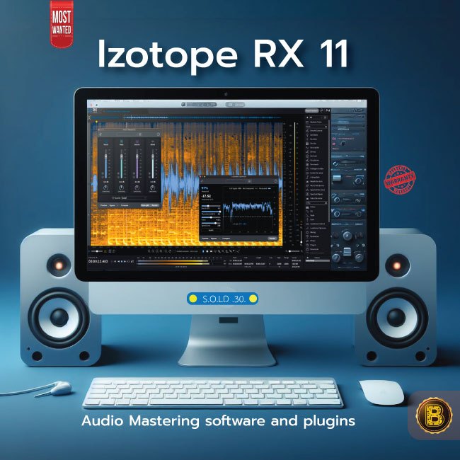 RX 11 Izotope Mix Mastering | Software windows / Mac