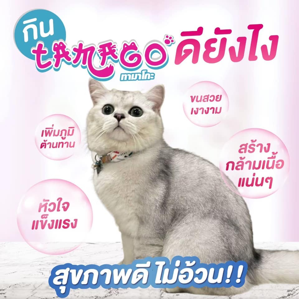 exp12/2025 ล็อตใหม่* Tamago ทามาโกะ ขนมแมวเลีย แมวโรคไตทานได้ (1แพ็คมี 6ซองเล็ก)