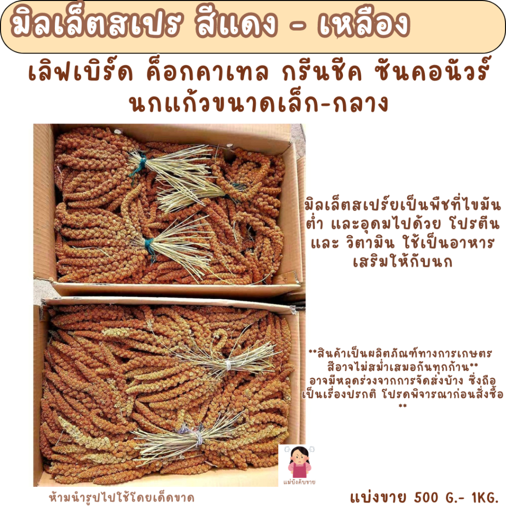 **อ่านก่อนสั่ง**มิลเล็ตสเปร สีแดง - เหลือง (แบ่งขาย 200-500 g.) อาหารนกแก้ว อาหารแฮมเตอร์