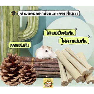 Hamu ♥️ (ขั้นต่ำ 30 บาท)เซ็ตลับฟัน ไม้ลับฟันสัตว์เลี้ยง ไม้แอปเปิ้ล ไผ่หวาน ลูกสน แก้ปัญหาฟันยาว คลายเครียด แฮมสเตอร์