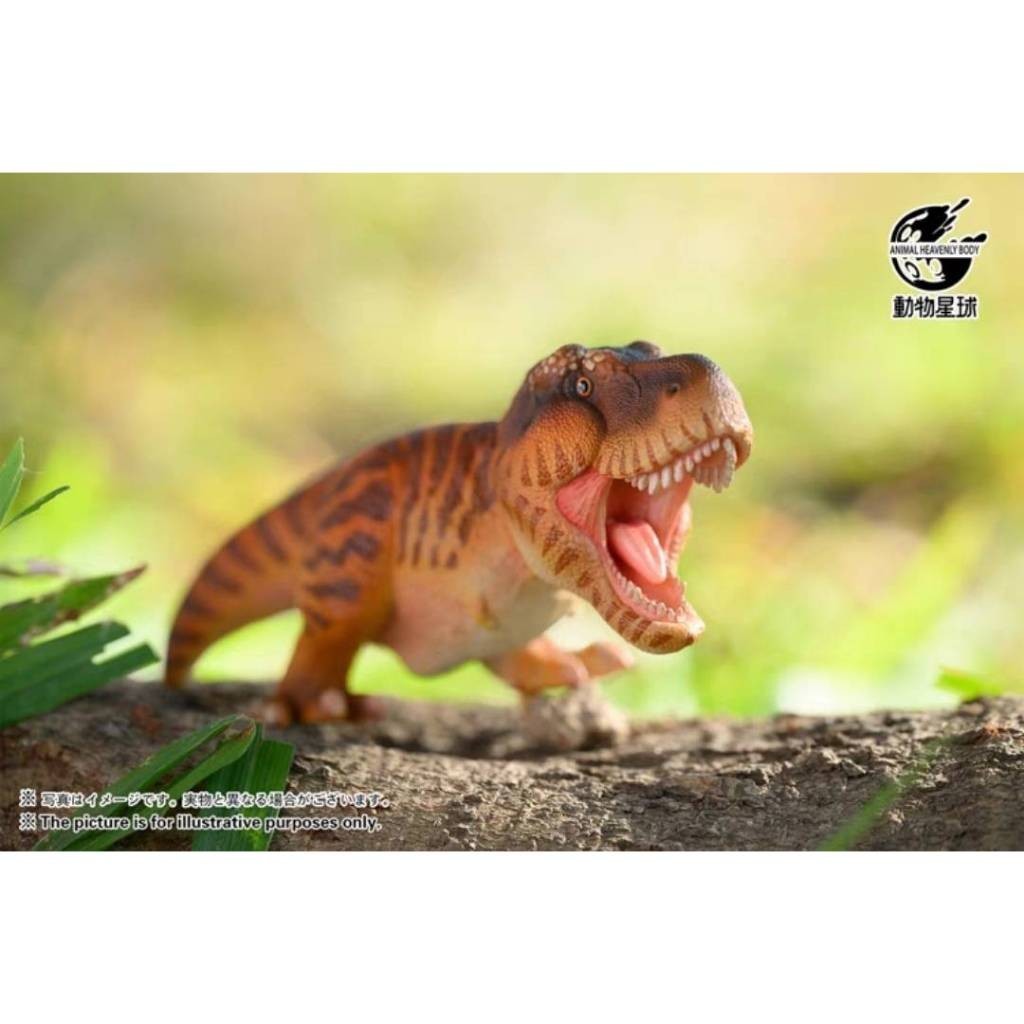 พร้อมส่ง  Animal Planet : Dinosaur