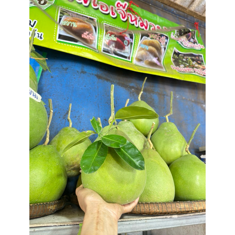 ส้มโอทับทิมสยาม(~0.9-1.0กก/80) ร้านเจ๊หมวยตลาดน้ำดอนหวาย