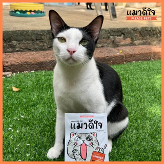 แมวดีใจ ขนมแมว Meow dee jai Mini Bite Stick มินิไบท์แมวดีใจ มินิไบท์ รสรมควัน และรสซีฟู้ต ขนาด 35g