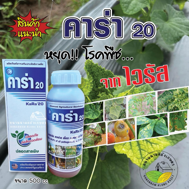 ไวรัส แก้ได้ #คาร่า สารเสริมประสิทธิภาพฉีดหยุดโรค และป้องกัน ไม่ให้ลุกลามต่อ อย่ารอให้เป็นเยอะ ขนาด100ซีซี,ขนาด500ซีซี