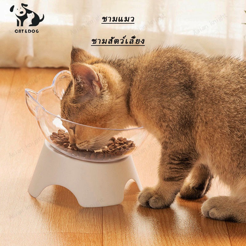 【CAT&DOG】ชามอาหารแมว, อาหารสุนัข, ชามแมว, ฟีดสัตว์เลี้ยงชามอาหารสัตว์เลี้ยงชามอาหารเอียง 15 องศา