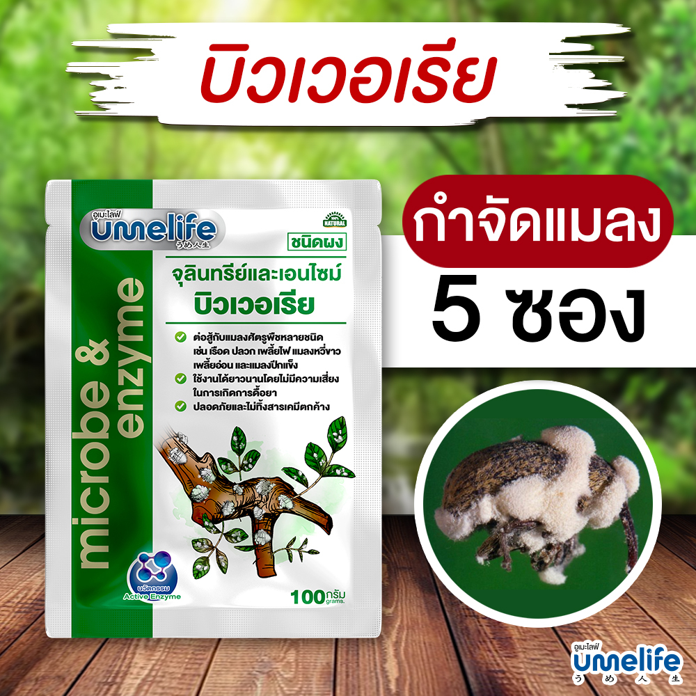 อูเมะไลฟ์ บิวเวอเรีย 100 กรัม แพ็ค 1-5 ซอง กำจัดแมลงศัตรูพืช ป้องกันแมลงกินใบ ป้องกันใบเหี่ยวจากเพลี้ย กำจัดเพลี้ย