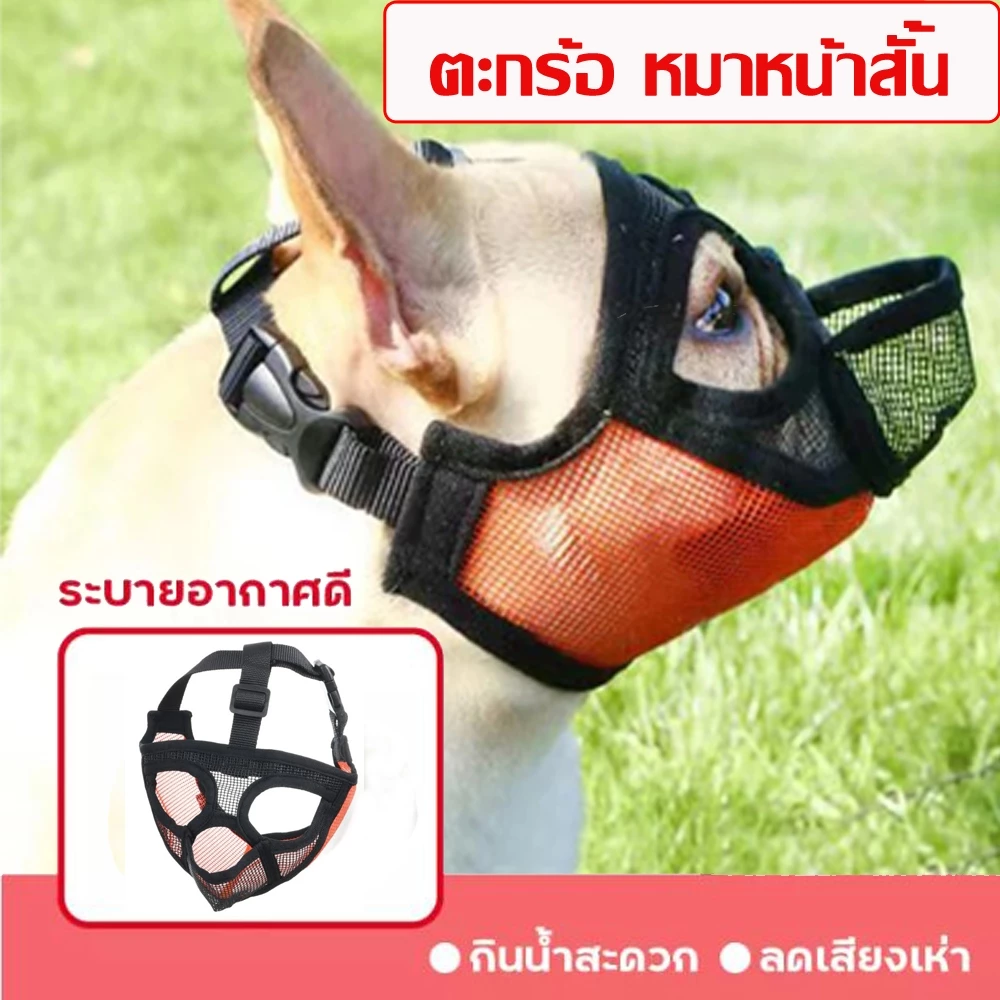 ตะกร้อครอบปากสุนัขหน้าสั้น สำหรับสุนัขหน้าสั้น