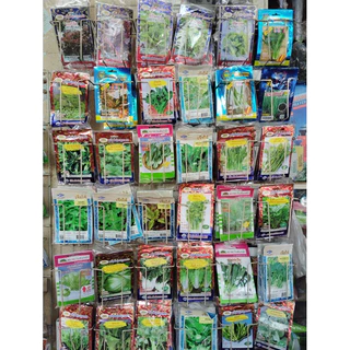 เมล็ดพันธุ์ผัก เมล็ดพันธุ์ ผักสวนครัว ผลไม้ ปลูกง่าย (ซอง 10บาท)