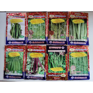 เมล็ดพันธุ์ผัก เมล็ดพันธุ์ ผักสวนครัว ผลไม้ ปลูกง่าย (ซอง 10บาท)