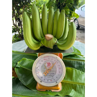 กล้วยหอมทอง,เนื้อเนียน ,นุ่ม,อร่อย,ใหญ่ ( L ) 12-14ลูก /หวี ตัดสด ( ตามออเดอร์)
