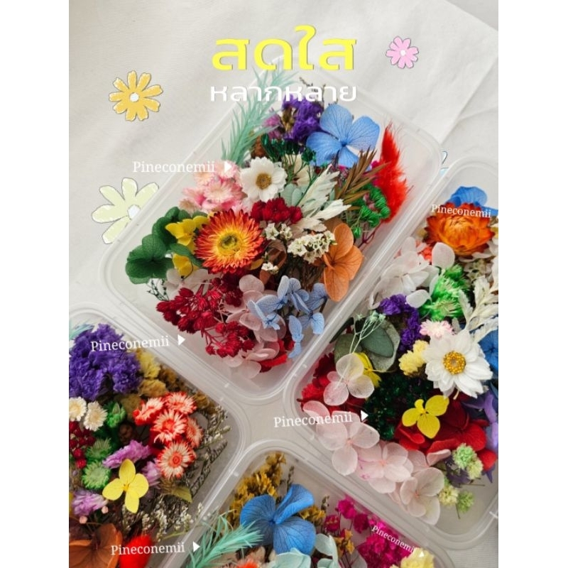 ดอกไม้แห้ง คละชนิด คละสี (ไม่ระบุชนิดดอกไม้)